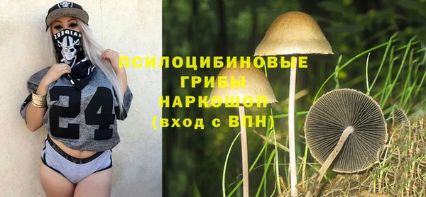 2c-b Михайловка