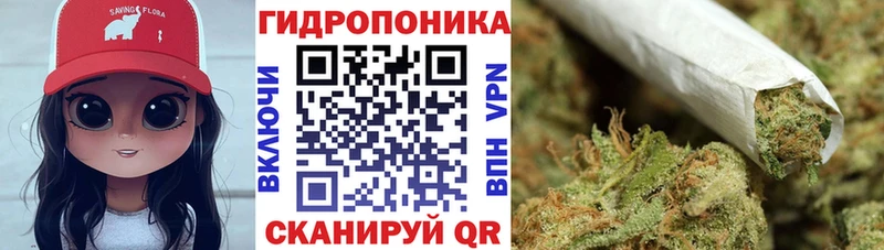 купить  сайты  Ессентукская  Канабис VHQ 